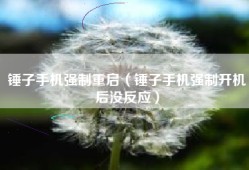 锤子手机强制重启（锤子手机强制开机后没反应）