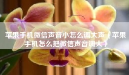 苹果手机微信声音小怎么调大声（苹果手机怎么把微信声音调大）