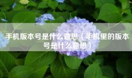 手机版本号是什么意思（手机里的版本号是什么意思）