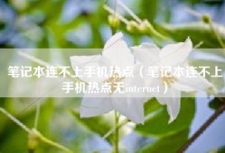 笔记本连不上手机热点（笔记本连不上手机热点无internet）