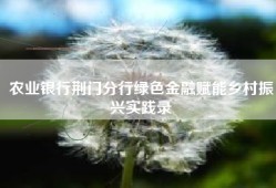 农业银行荆门分行绿色金融赋能乡村振兴实践录