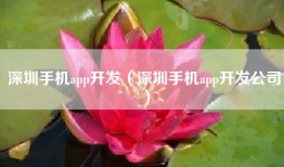 深圳手机app开发（深圳手机app开发公司）