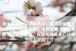 那么目前的安卓手机中，有哪些配置是已经成为标配的呢？手机配置「那么目前的安卓手机中，有哪些配置是已经成为标配的呢？」