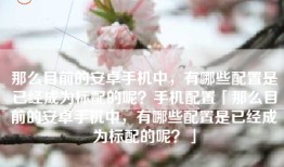 那么目前的安卓手机中，有哪些配置是已经成为标配的呢？手机配置「那么目前的安卓手机中，有哪些配置是已经成为标配的呢？」
