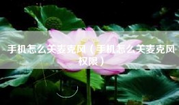 手机怎么关麦克风（手机怎么关麦克风权限）