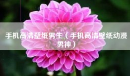 手机高清壁纸男生（手机高清壁纸动漫男神）