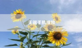 无锡手机维修