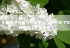 手机删除的东西在哪里（vivo手机文件管理删除了怎么恢复）