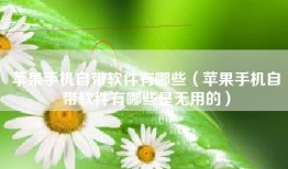 苹果手机自带软件有哪些（苹果手机自带软件有哪些是无用的）