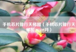 手机芯片排行天梯图（手机芯片排行天梯图202412月）