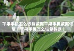 苹果手机怎么恢复数据苹果手机数据恢复「苹果手机怎么恢复数据」