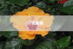 优客服