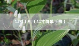 5.3寸手机（5.3寸屏幕手机）