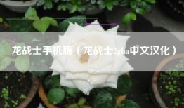 龙战士手机版（龙战士2gba中文汉化）