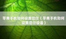 苹果手机如何设置信任（苹果手机如何设置信任设备）