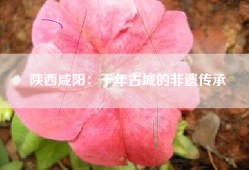 陕西咸阳：千年古城的非遗传承