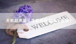 手机超声波（手机超声波除尘音频）