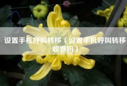 设置手机呼叫转移（设置手机呼叫转移收费吗）