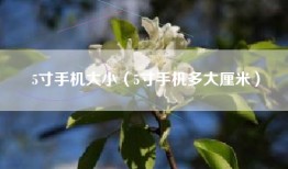 5寸手机大小（5寸手机多大厘米）
