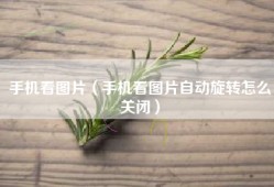 手机看图片（手机看图片自动旋转怎么关闭）