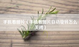 手机看图片（手机看图片自动旋转怎么关闭）