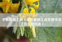 手机截图工具（手机截图工具东西不见了怎么找回来）