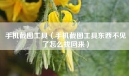 手机截图工具（手机截图工具东西不见了怎么找回来）