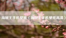 海贼王手机壁纸（海贼王手机壁纸高清）