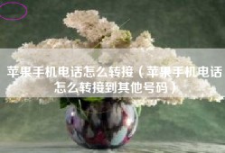 苹果手机电话怎么转接（苹果手机电话怎么转接到其他号码）