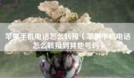 苹果手机电话怎么转接（苹果手机电话怎么转接到其他号码）