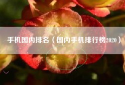 手机国内排名（国内手机排行榜2020）