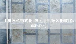 手机怎么格式化u盘（手机怎么格式化u盘FAT32）