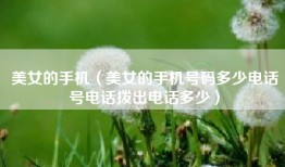 美女的手机（美女的手机号码多少电话号电话拨出电话多少）
