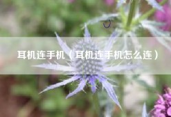 耳机连手机（耳机连手机怎么连）