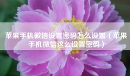 苹果手机微信设置密码怎么设置（苹果手机微信这么设置密码）