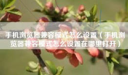 手机浏览器兼容模式怎么设置（手机浏览器兼容模式怎么设置在哪里打开）