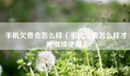 手机欠费会怎么样（手机欠费怎么样才能继续使用）