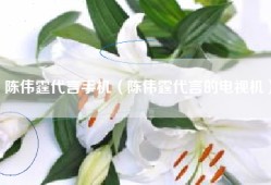 陈伟霆代言手机（陈伟霆代言的电视机）