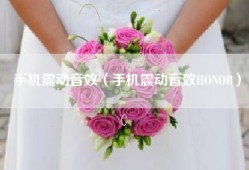 手机震动音效（手机震动音效HONOR）