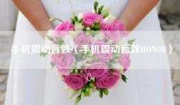 手机震动音效（手机震动音效HONOR）