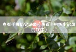 查看手机历史记录（查看手机历史记录的软件）
