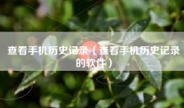 查看手机历史记录（查看手机历史记录的软件）