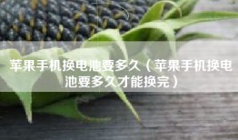 苹果手机换电池要多久（苹果手机换电池要多久才能换完）