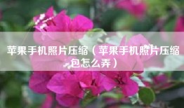 苹果手机照片压缩（苹果手机照片压缩包怎么弄）