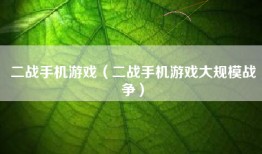 二战手机游戏（二战手机游戏大规模战争）