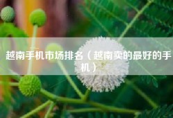 越南手机市场排名（越南卖的最好的手机）