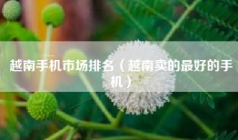 越南手机市场排名（越南卖的最好的手机）