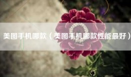 美图手机哪款（美图手机哪款性能最好）