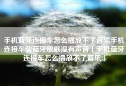 手机蓝牙连接车怎么播放不了音乐手机连接车载蓝牙放歌没有声音「手机蓝牙连接车怎么播放不了音乐」