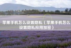 苹果手机怎么设置隐私（苹果手机怎么设置隐私应用加密）
